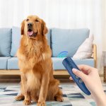 PET Training & Behavior PET Training & Behavior