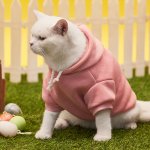 Pet Apparel & Accessories Pet Apparel & Accessories